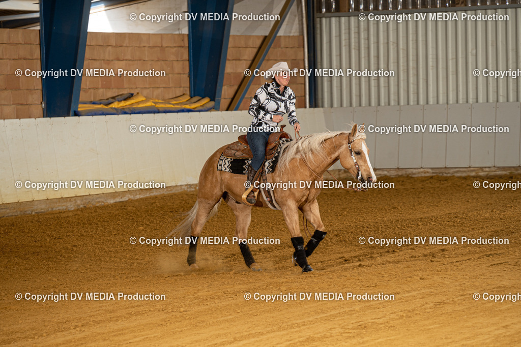 MIT00213 | dv-media-shop - Realisiert mit Pictrs.com