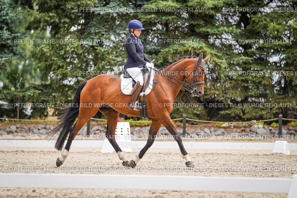 DSC03206 | Pferdegrafie