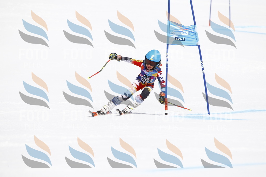 _U3G5292 | holidayphoto