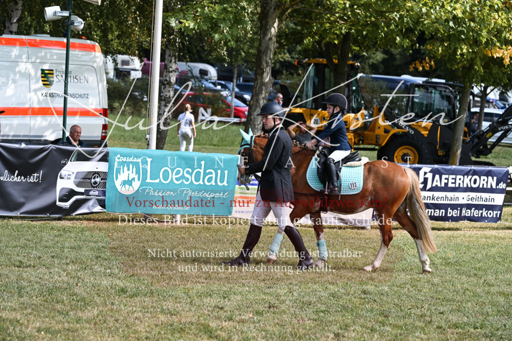 DSC_6859 | Pferde- und Turnierfotografie in Westsachsen. Pferdeportraits, Auftragszeichnungen und intuitive Kunst.
