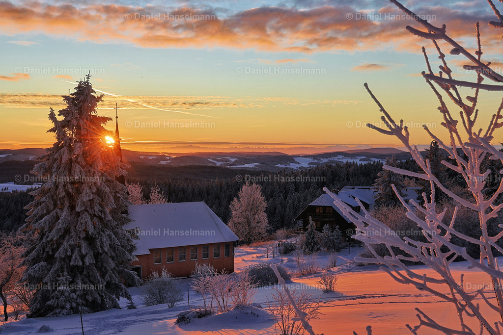 IMG_2565 | Hier finden Sie Poster, Leinwandfotos sowie viele weitere Fotoprodukte mit Motiven aus dem Schwarzwald, aus Freiburg und dem Kaiserstuhl zum Download und zum Bestellen.  - Realisiert mit Pictrs.com