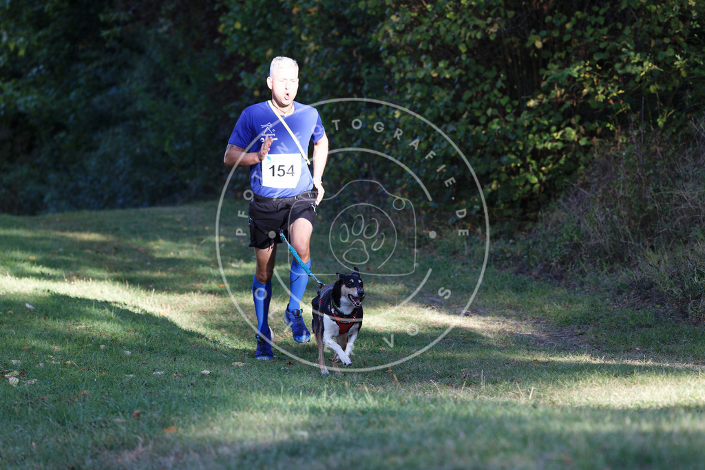 0L8A5027 | Hundefotografie, Tierfotograf, Pfotenfotografie, Fotoshooting Hund, Hunde Portrait, Hundesport, Hundeportraits, Heideshooting, Hunde, Sportfotograf, Hundefotograf, Turnierhundsport, THS,  - Realisiert mit Pictrs.com