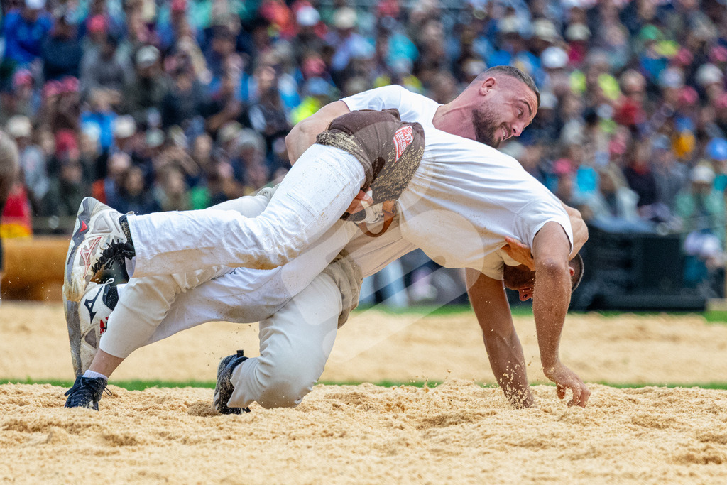 ESAF2025_01Gang_4782 | Die Schwinger des Schwyzer Kantonalen Schwingerverbandes: Fotos, die Dynamik und Leidenschaft festhalten, sowie emotionale Momente aus dem traditionellen Schwingsport zeigen. - Realisiert mit Pictrs.com