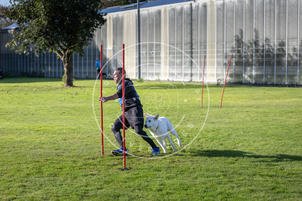 Pfotenfotografie.de_DV3A3223 | Hundefotografie, Tierfotograf, Pfotenfotografie, Fotoshooting Hund, Hunde Portrait, Hundesport, Hundeportraits, Heideshooting, Hunde, Sportfotograf, Hundefotograf, Turnierhundsport, THS, canicross - Realisiert mit Pictrs.com