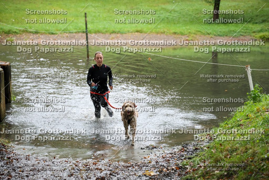 Dog Paparazzi -  SD1026-8426 | Dog Paparazzi Jeanette Grottendiek Fotografie & Videografie - Realisiert mit Pictrs.com