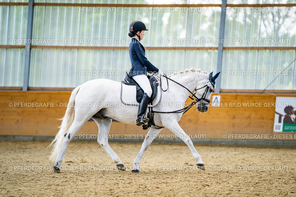 DSC04868 | Pferdegrafie