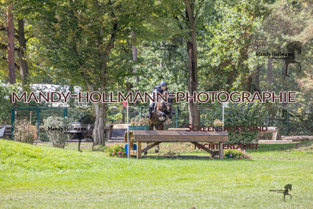 VS G (217 von 503) | mandyhollmannphotographie