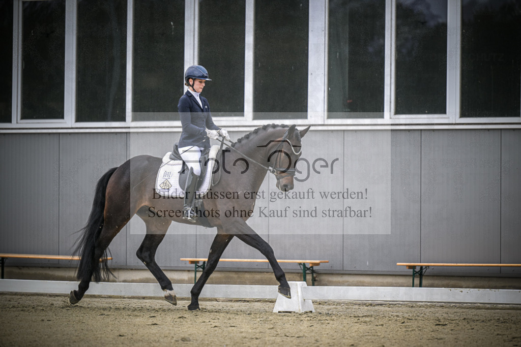 DOS_0453 | Entdecke hochwertige Reitturnierfotos von Foto Oger. Professionell, emotional und authentisch – jetzt Lieblingsmomente im Shop bestellen.Deutschlandweite Turnierfotografie. - Realisiert mit Pictrs.com