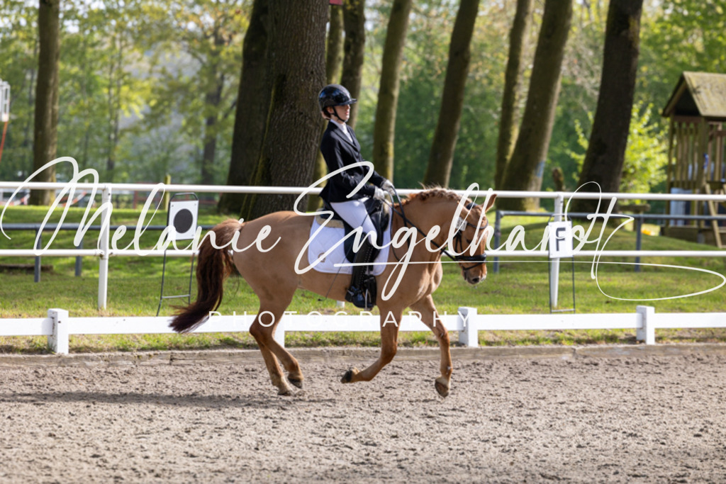 7I8A0568 | melanie-engelhardt-photography - Realisiert mit Pictrs.com