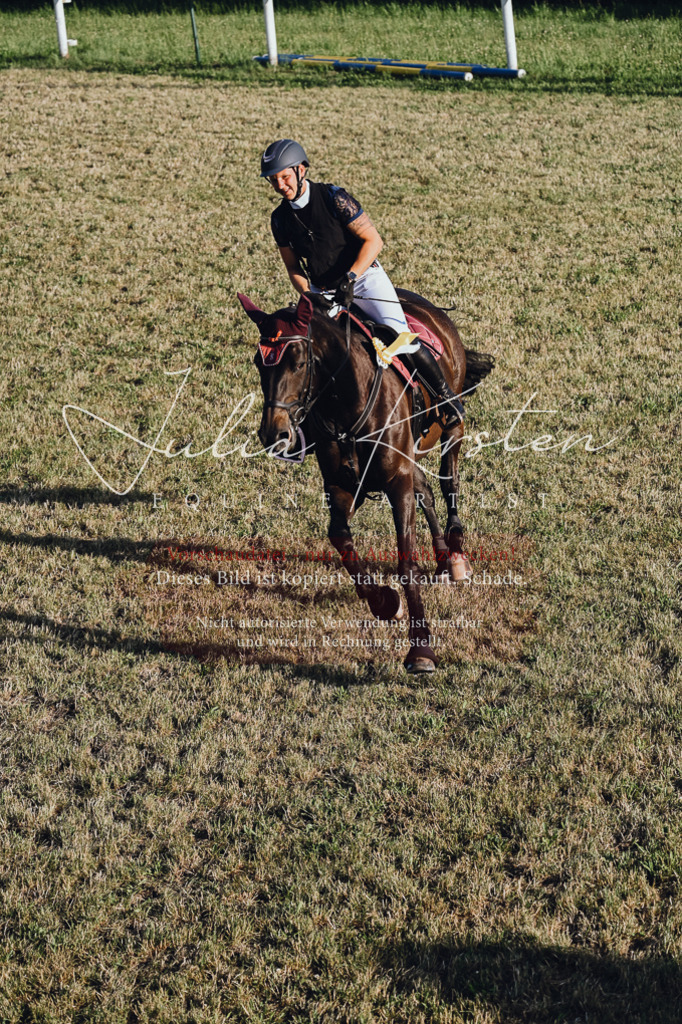 DSC_3308 | Pferde- und Turnierfotografie in Westsachsen. Pferdeportraits, Auftragszeichnungen und intuitive Kunst.