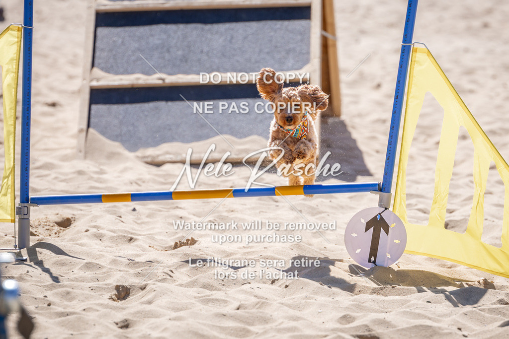 NR__1257 | nelerasche