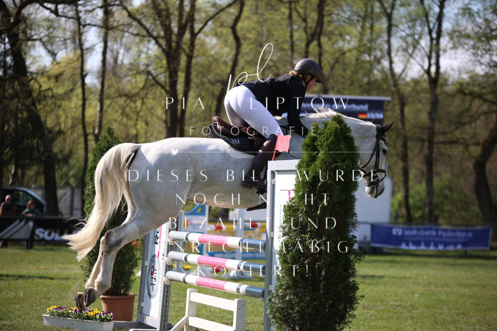 IMGT6009 | pl-fotografie