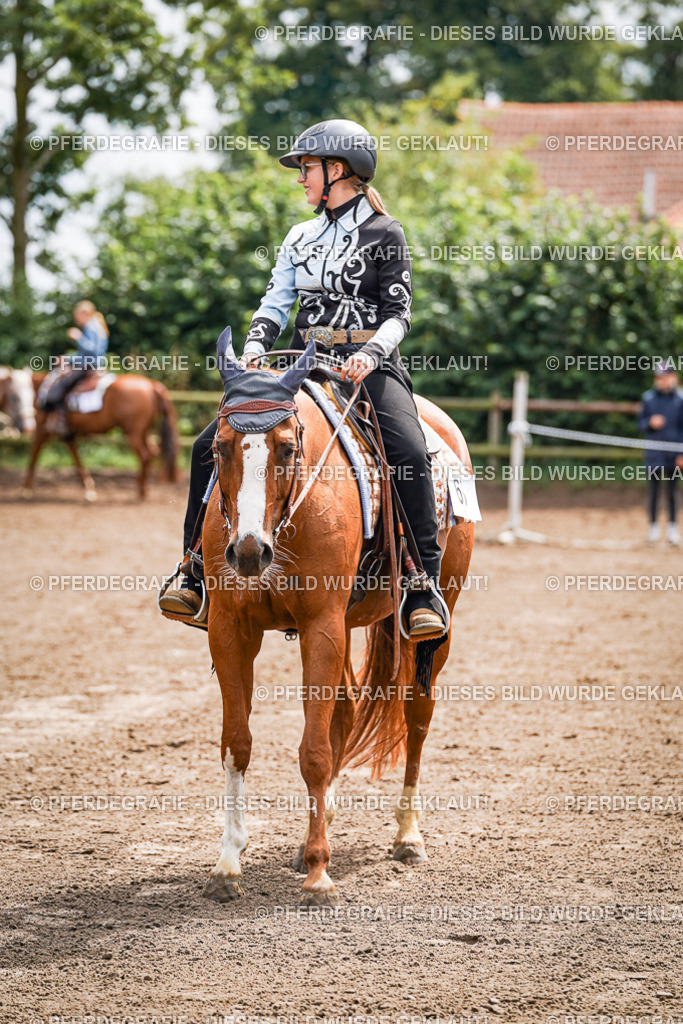 DSC05761 | Pferdegrafie