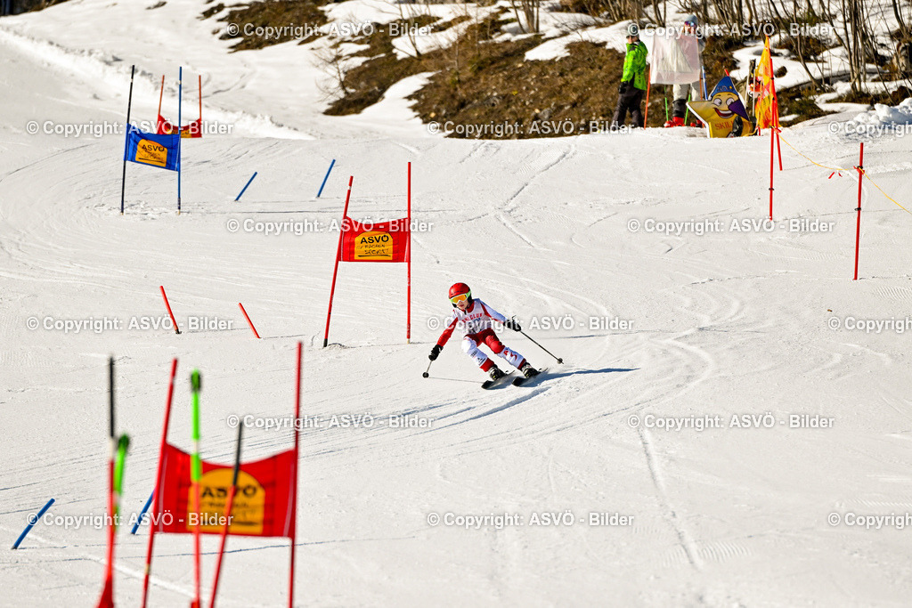 ASVÖ_ Skitrophy 2025_ 02.02.2025-103 | 02.02.2022, Hinterstoder, AUT, ASVÖ, Skitrophy 2025 im Bild Teilnehmer©Harald Dostal / fodo.media - Realisiert mit Pictrs.com
