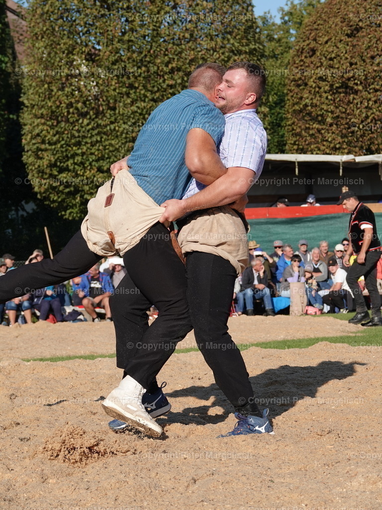 DSC05546 | Schwingen - Realisiert mit Pictrs.com