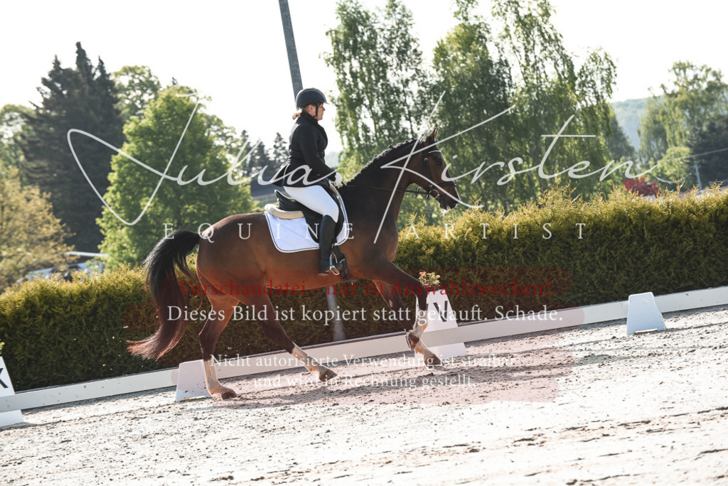 20230518_JK-Röhrsdorf-09-0733 | Pferde- und Turnierfotografie in Westsachsen. Pferdeportraits, Auftragszeichnungen und intuitive Kunst.