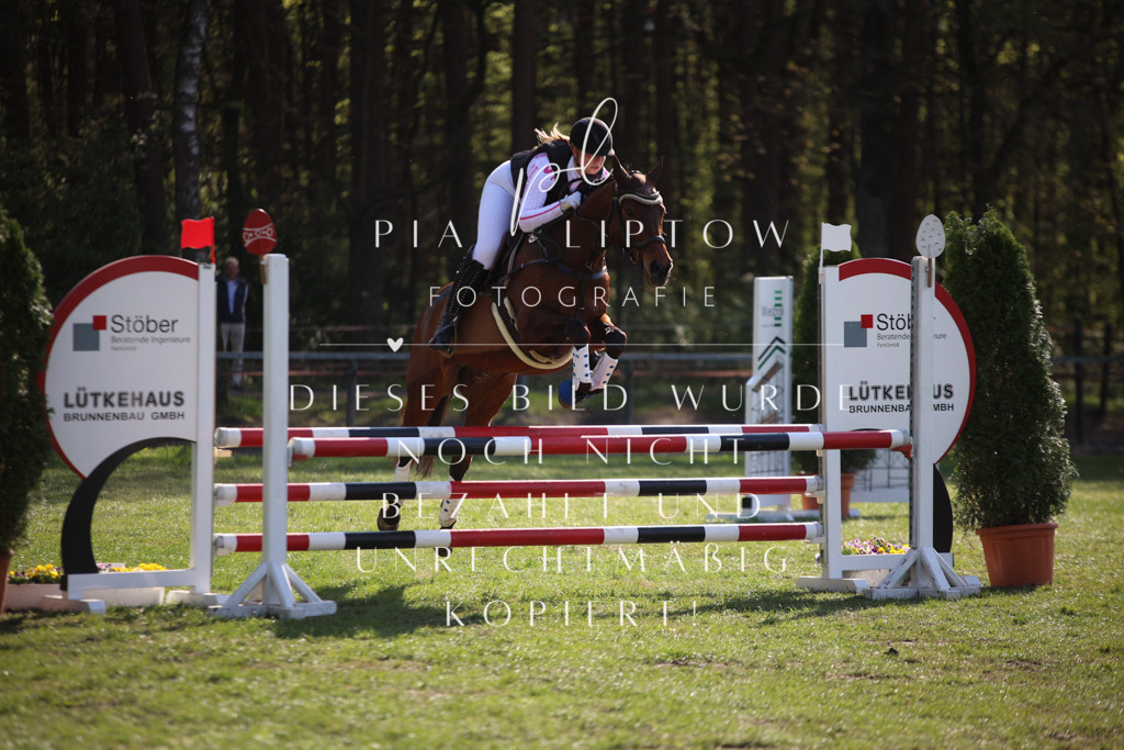 IMGT9258 | pl-fotografie