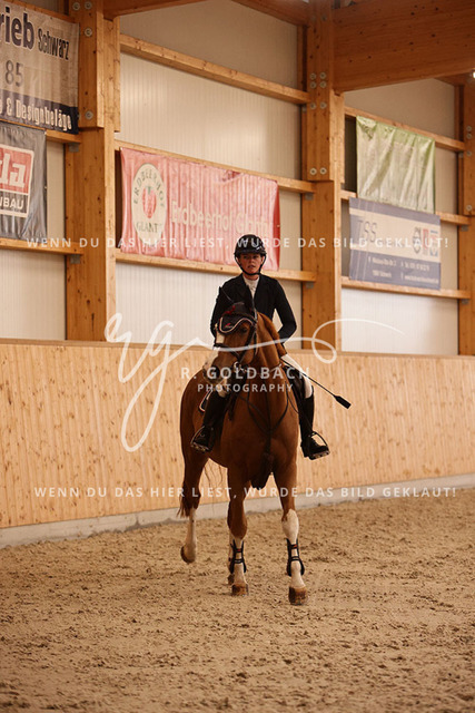 1J2A4501Lilli Plath_ Butler of Picobello Z_ Kn039_ Hohen Wieschendorf_ Glantz | Foto- und Videografie für alles rund ums Pferd. Hochwertige Bilder und Videos vom Spring- und Dressurreiten, Voltigieren & mehr. Jetzt aktuelle Veranstaltungen und Preise im Shop ansehen. - Realisiert mit Pictrs.com