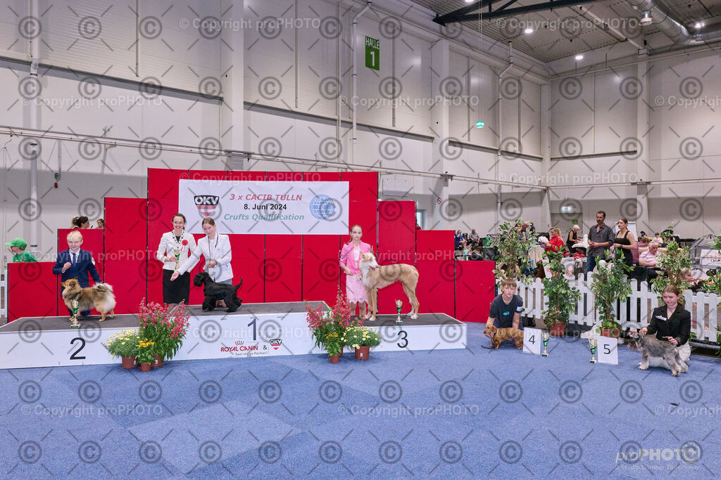 202406_ÖKV-IHA-Tulln24_NZ9_8577 | proPHOTO - Realisiert mit Pictrs.com