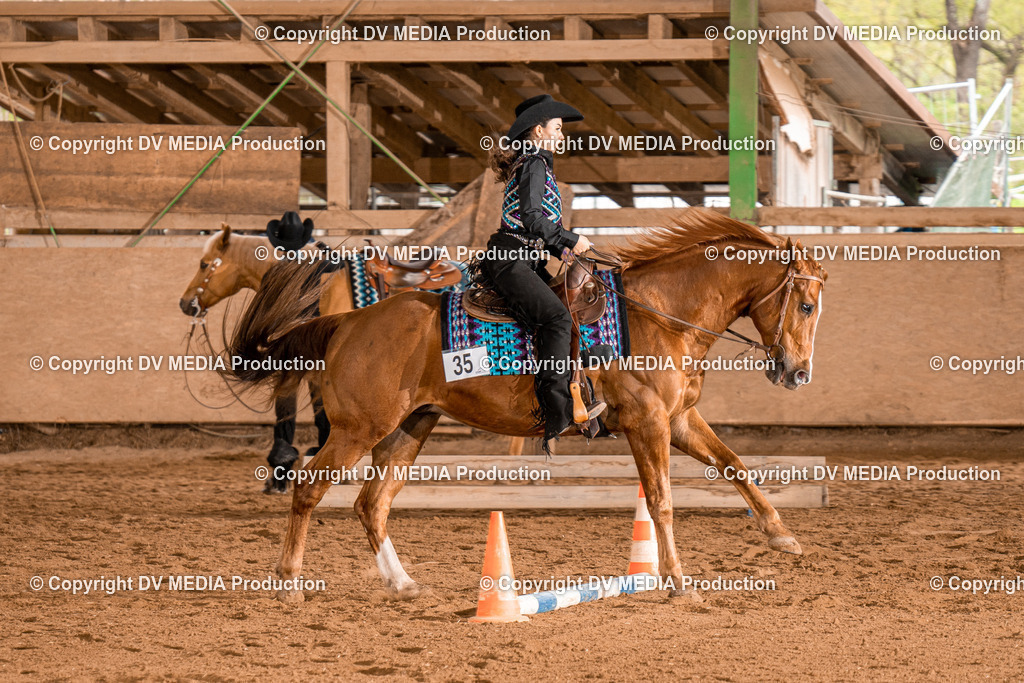 BAL00689 | dv-media-shop - Realisiert mit Pictrs.com