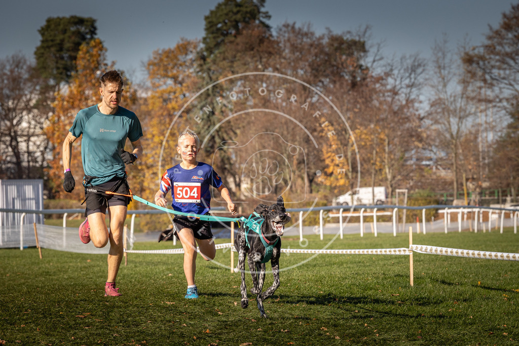 CaniXpix_0L8A6598 | Hundefotografie, Tierfotograf, Pfotenfotografie, Fotoshooting Hund, Hunde Portrait, Hundesport, Hundeportraits, Heideshooting, Hunde, Sportfotograf, Hundefotograf, Turnierhundsport, THS,  - Realisiert mit Pictrs.com