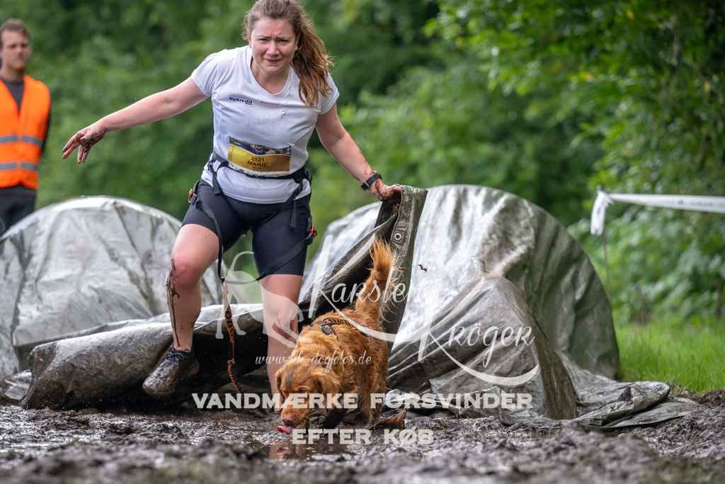 1038_ZZ92460 | kk-dogfotos