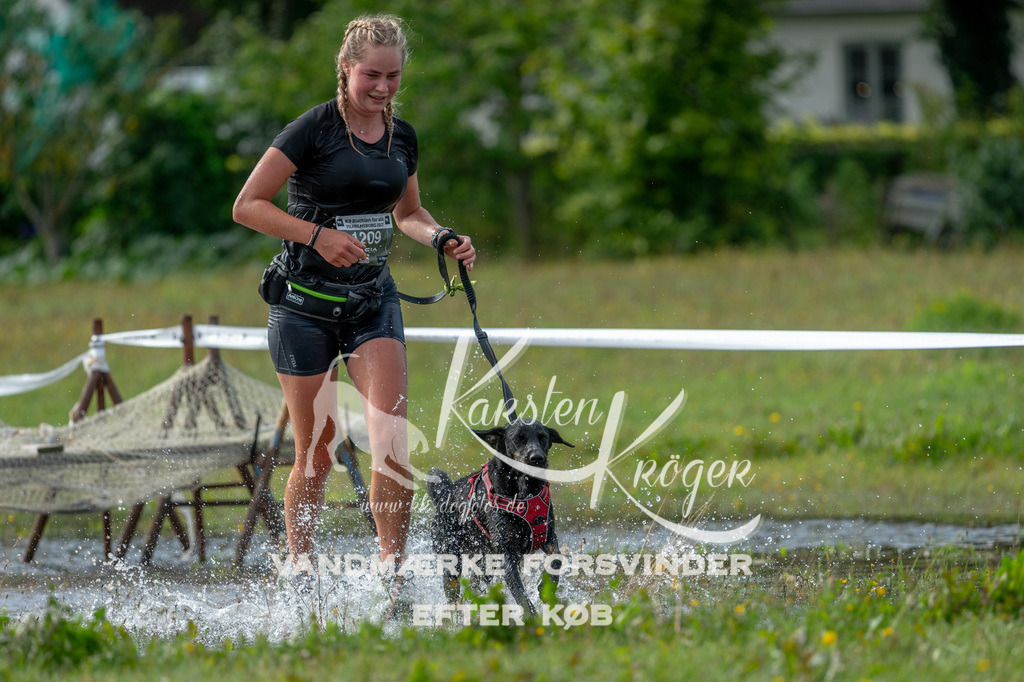 1108STR_1963 | kk-dogfotos