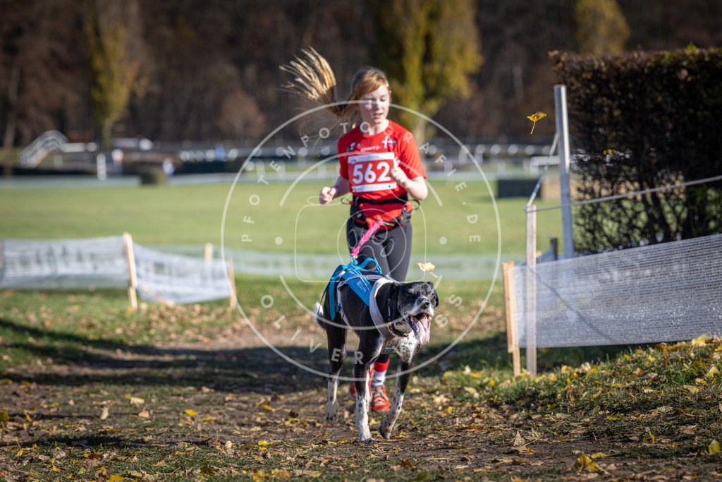 CaniXpix_DV3A8721 | Hundefotografie, Tierfotograf, Pfotenfotografie, Fotoshooting Hund, Hunde Portrait, Hundesport, Hundeportraits, Heideshooting, Hunde, Sportfotograf, Hundefotograf, Turnierhundsport, THS,  - Realisiert mit Pictrs.com