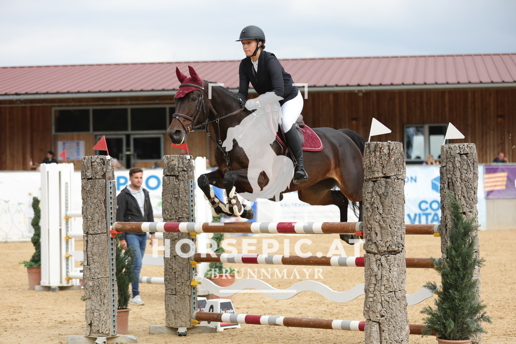 0P6A6652 | Willkommen bei Brunnmayr - Design & Fotografie – Ihrem Spezialisten für Reitturniere und Pferdeveranstaltungen in Oberösterreich, Salzburg und Bayern! Seit über 17 Jahren sind wir leidenschaftlich dabei.