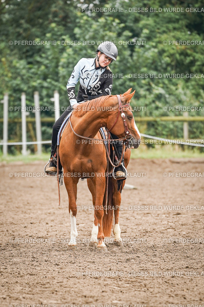 DSC02067 | Pferdegrafie