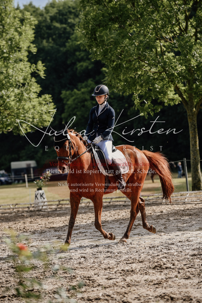DSC_8915 | Pferde- und Turnierfotografie in Westsachsen. Pferdeportraits, Auftragszeichnungen und intuitive Kunst.