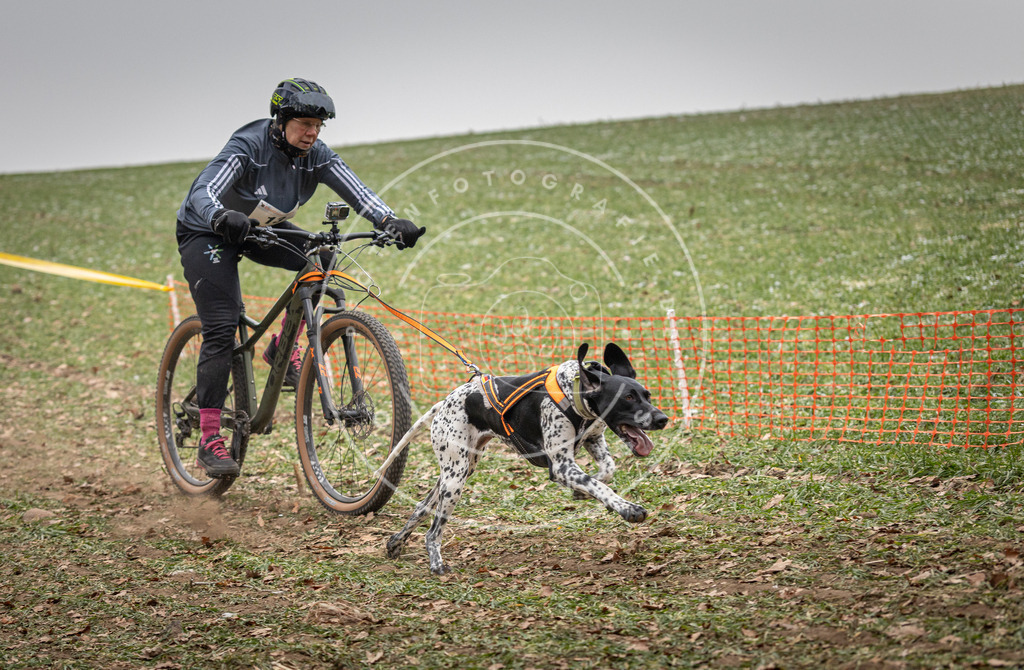 Pfotenfotografie_DV3A2459 | Hundefotografie, Tierfotograf, Pfotenfotografie, Fotoshooting Hund, Hunde Portrait, Hundesport, Hundeportraits, Heideshooting, Hunde, Sportfotograf, Hundefotograf, Turnierhundsport, THS,  - Realisiert mit Pictrs.com