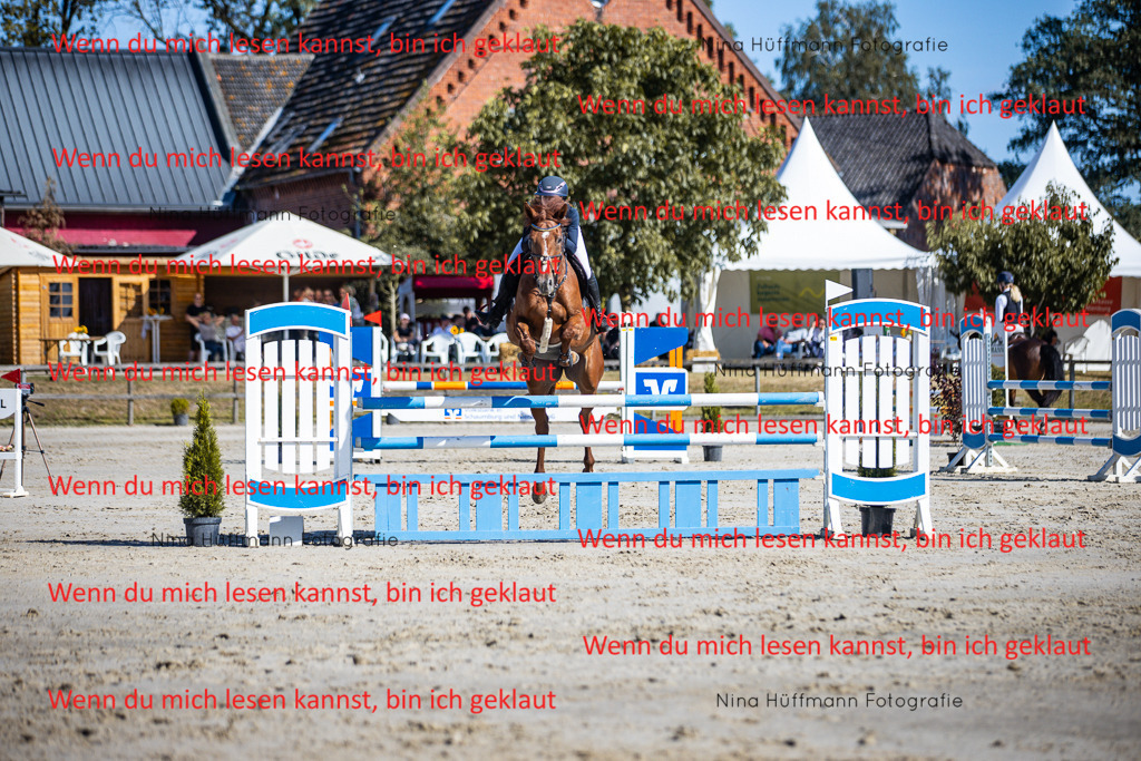 BK1A5696 | Turnierbilder Turnierfotos Nina Hüffmann Turnierfotografie Pferdefotografie Tierzeichnung Haustierzeichnung Pferdezeichnung Hundezeichnung Videograf  - Realisiert mit Pictrs.com