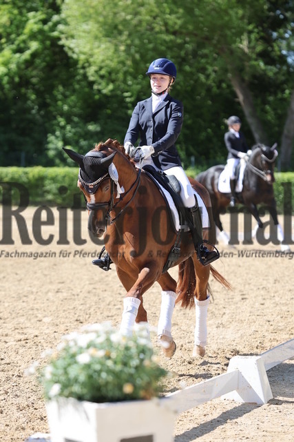 Böblingen_2025_Prfg.Nr.08_Dressurprüfung_Kl.M_Nürnberger Burgpokal_Siegerehrung_Prfg.Nr.08__ (28) | Alle Fotos der Reiterjournal Fotografin Doris Matthaes im Reiterjournal Online-Fotoshop. - Realisiert mit Pictrs.com