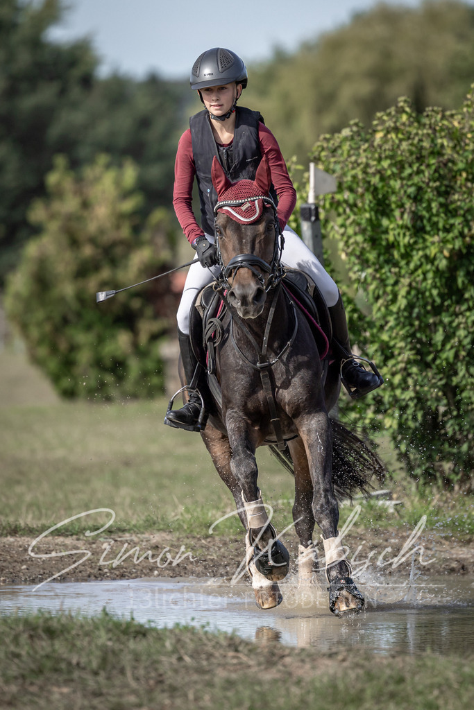 20250907-_3LI9397 | Tierfotografie Pferde, Hunde, Katzen, Haustiere.
Turnierfotografie Reitturniere, Reiten, Springreiten, Dressur in Hanau, dem Main-Kinzig-Kreis und dem Rhein-Main- Gebiet um Frankfurt