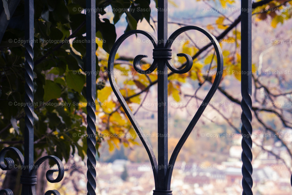 Das Herz am Wegesrand | Willkommen im Shop von Photography Sascha Staub. Hier findest du alle Fotos und Medieninhalten von Sascha Staub. In diesem Shop kannst du Lizenzen zu den Fotos, Drucke und Gutscheine für den Shop erwerben.  - Realisiert mit Pictrs.com