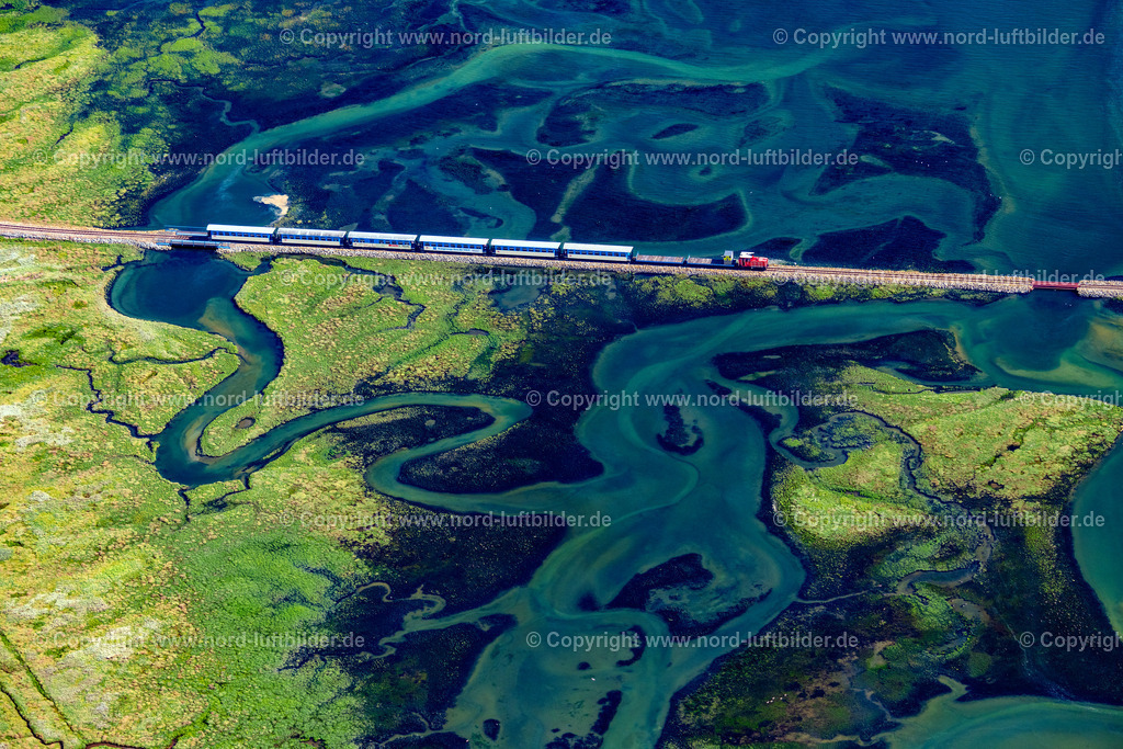Wangerooge_Inselbahn_ELS_8449050923 | WANGEROOGE 05.09.2023 Grasflächen- Strukturen einer Hallig- Landschaft mit fahrenden Zug der Wangerooger Inselbahn - Schmalspurbahn in Wangerooge im Bundesland Niedersachsen, Deutschland. Weiterführende Informationen bei: Deutsche Bahn Stiftung gGmbH DB Museum,  Kurverwaltung Nordseeheilbad Wangerooge. // Grassland structures of a Hallig landscape with moving train of the Wangerooger Inselbahn - narrow-gauge railway in Wangerooge in the state Lower Saxony, Germany. Further information at: Deutsche Bahn Stiftung gGmbH DB Museum,  Kurverwaltung Nordseeheilbad Wangerooge. Foto: Martin Elsen