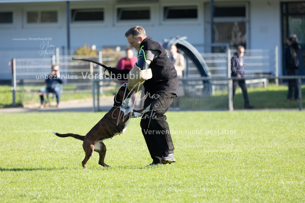 _16A5152 | Einzigartige Fotos von Hunden & Menschen –Actionfotos, Portraits, Vereinsaufnahmen & Paarshootings – authentisch, lebendig & mit Herz.