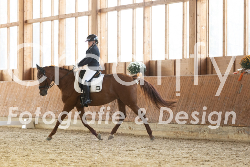 IMG_2954 | Creatify Fotografie