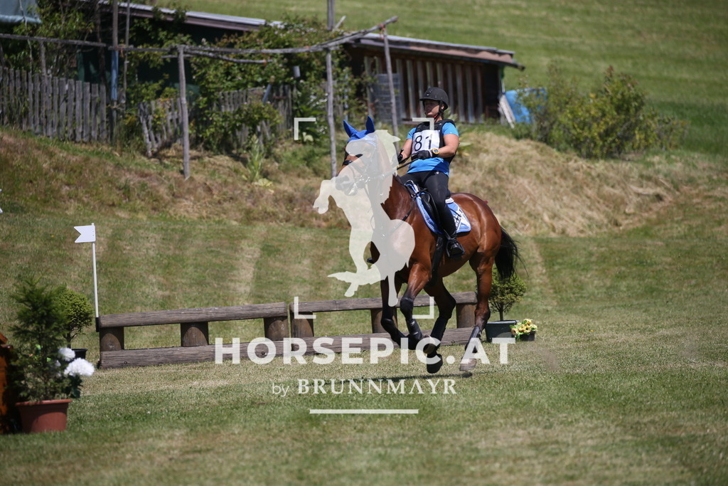 DL2Q1215 | Willkommen bei Brunnmayr - Design & Fotografie – Ihrem Spezialisten für Reitturniere und Pferdeveranstaltungen in Oberösterreich, Salzburg und Bayern! Seit über 17 Jahren sind wir leidenschaftlich dabei.