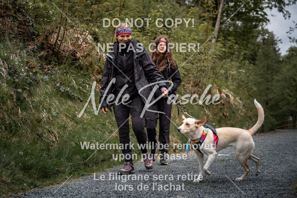 nelerasche_SaAbends_199 | nelerasche - Realisiert mit Pictrs.com