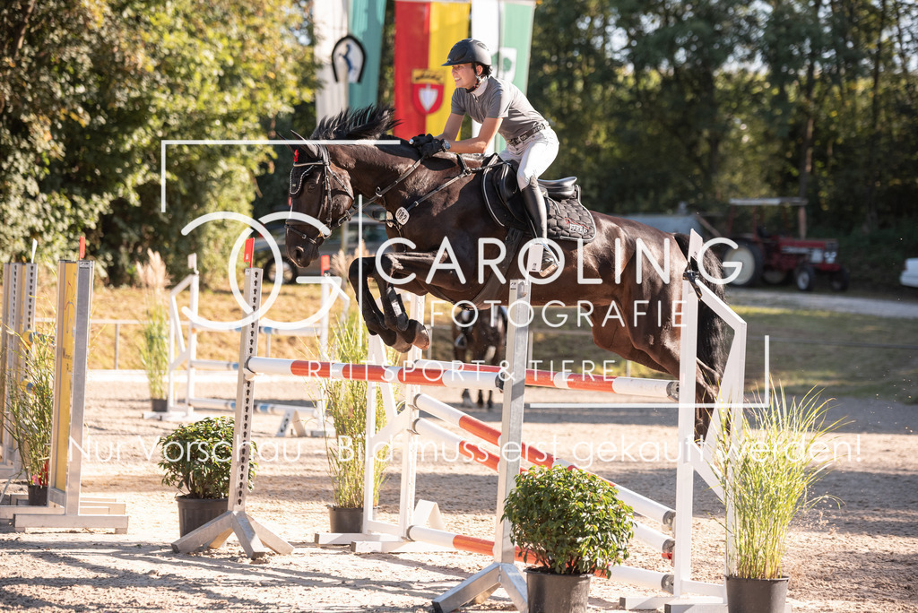 DSC_7887 | Turnierfotografin Carolin Gieschke, Turnierfotografie Carolin G Fotografie, Turnierfotos Kirchheim/Teck, Esslingen, Stuttgart, Bodenseekreis