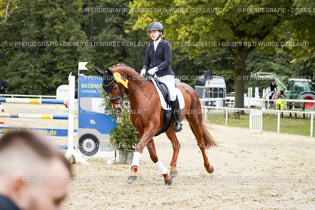 DSC02511 | Pferdegrafie