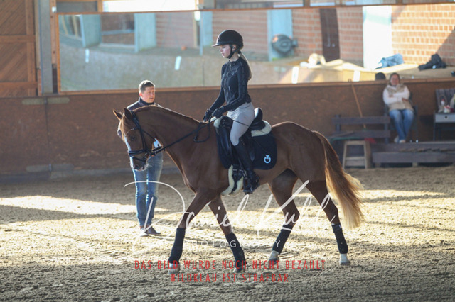 DKP42146 | Turniersportfotografie; Pferdefotografie; Dressurfotografie
