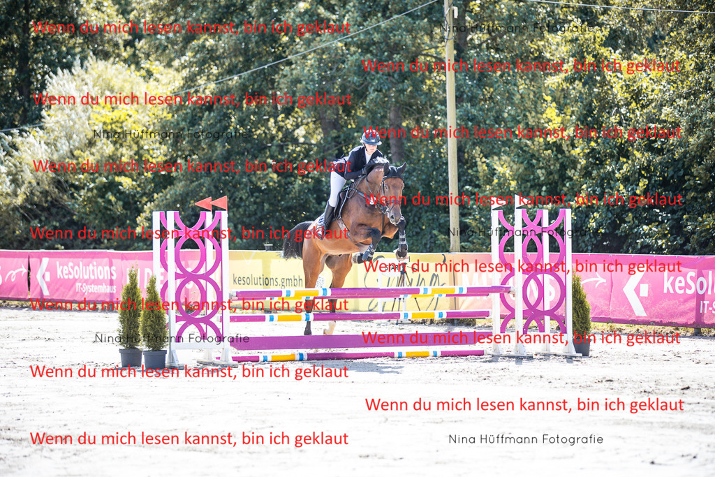 BK1A4999 | Turnierbilder Turnierfotos Nina Hüffmann Turnierfotografie Pferdefotografie Tierzeichnung Haustierzeichnung Pferdezeichnung Hundezeichnung Videograf  - Realisiert mit Pictrs.com