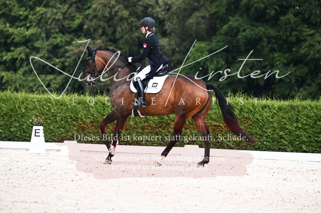 DSC_3098 | Pferde- und Turnierfotografie in Westsachsen. Pferdeportraits, Auftragszeichnungen und intuitive Kunst.
