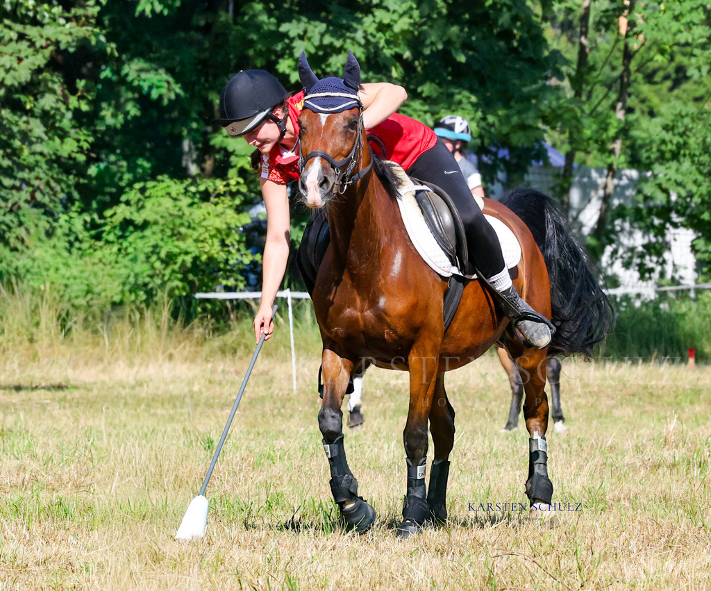 1B3A7908 | Reitsport Reiten