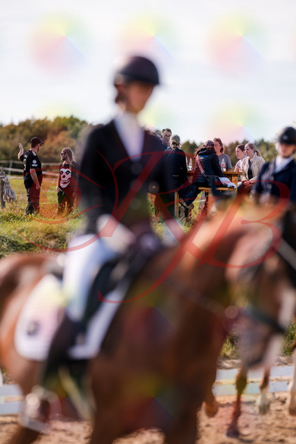 2026_10_03_Siefer-Hof_133128_Z81_85640705 | Professionelle Reitsport-, Turnier- und Eventfotografie von Robert Broda. Galerien mit ausgewählten und bearbeiteten Bildern direkt online ansehen und bestellen.