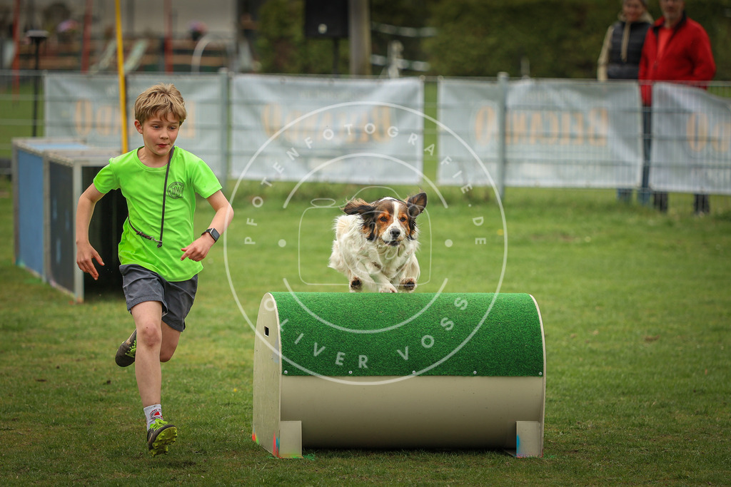Pfotenfotografie_0L8A1731 | Hundefotografie, Tierfotograf, Pfotenfotografie, Fotoshooting Hund, Hunde Portrait, Hundesport, Hundeportraits, Heideshooting, Hunde, Sportfotograf, Hundefotograf, Turnierhundsport, THS,  - Realisiert mit Pictrs.com