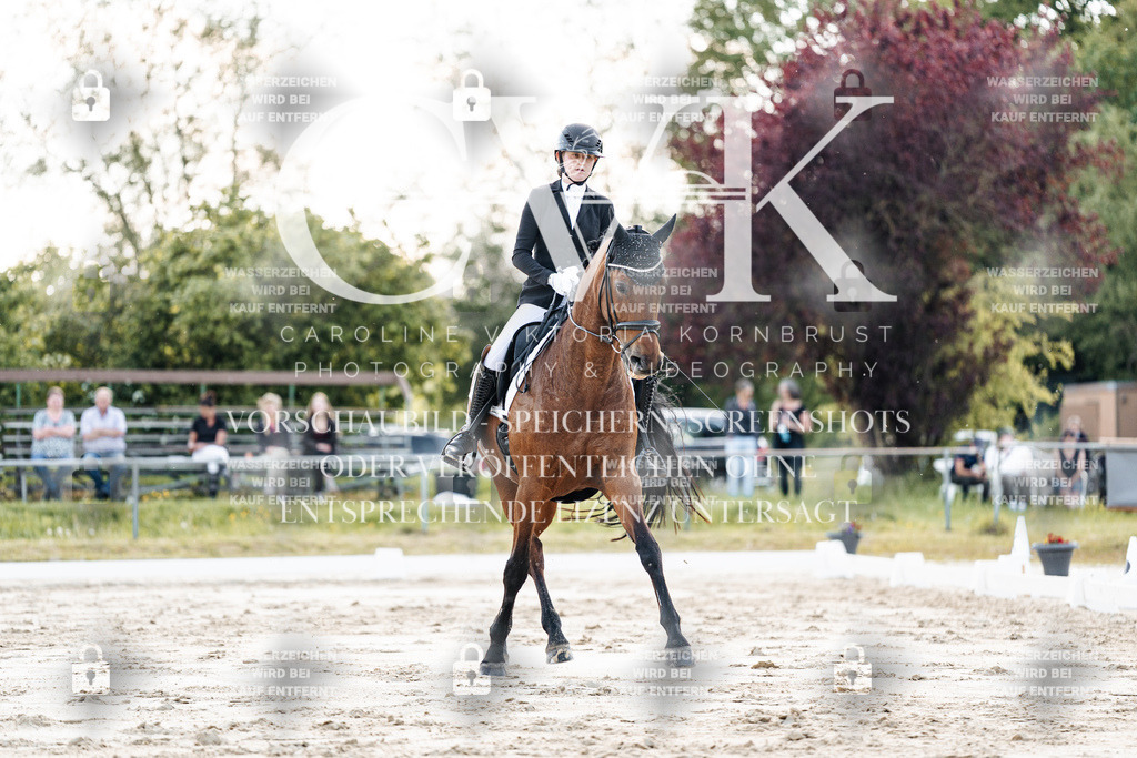 CK909658 | Turnierfotografie Pferdefotografie Trier Rheinland-Pfalz Pferdesport Reitsport Tierfotografie Sportfotografie Pferdevideo Pferdevideografie Equestrianvideography equestrianphotography  - Realisiert mit Pictrs.com